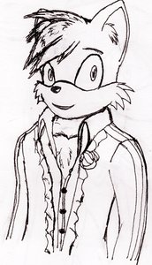 Persona 4/Sonic the Hedgehog crossover - 'Kuma "Teddie" Prower' by SovietCommando12