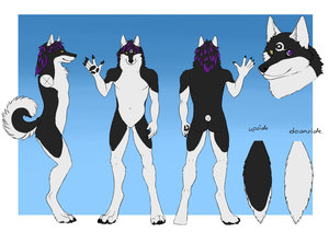 [COM] Charactersheet - Sephius by Nyx
