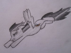 Sketched Rainbow Dash by Chenner