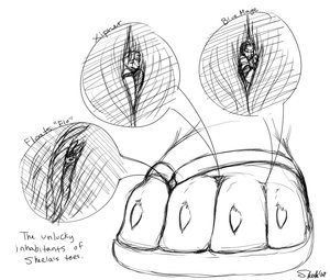 The unlucky inhabitants of Sheela's toes by Sheela