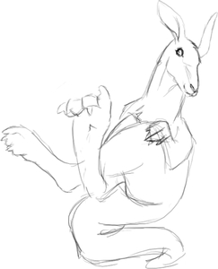 Kangaroo (Quick Sketch) by Larthan