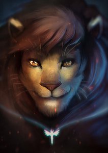 Reflection by puinkey