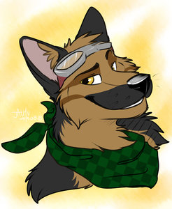Shep Stuff by buckwildwolf