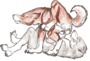 Max and his brother by Brownsugar