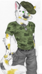 Calico Reconnaissance by Yopen
