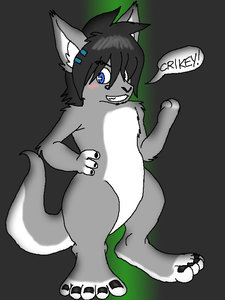 Roo Sasha by TectorCoon