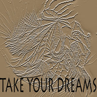 Take Your Dreams by eagleon