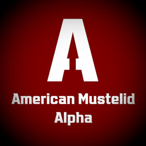 AMA - Episode 9, "Bring Me To The End, Dude" - Part 2 by HeadQuarters