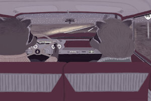 Skip and Sophia Raccoon Out Late on a Date - Posted as MP4 by moyomongoose