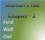 Shaman's Tale - Chapter 3 by Silverwolf626