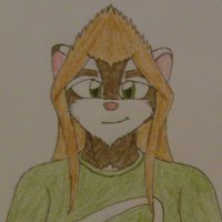 Snap Sheet by SnapInABox - male, character sheet, ferret, snap