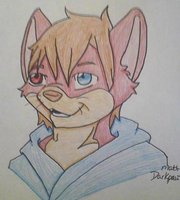 my fursona by AlucardHSwolf - male, otter, furry, fursona
