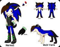 Shade The Hedgehog Refs by xSonadowLover103x - male, hedgehog, uke, fan character, sonadow kid