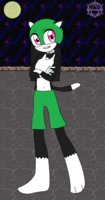 Sharon the Masked Cat by BananaPantsParade - cat, female, night, superhero, penitatas, sharon the masked cat
