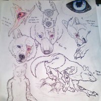 My fursona Stray by strayokami - wolf, male, anthro, fursona
