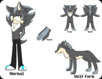 Dusk The Hedgehog Refs by xSonadowLover103x - wolf, male, hedgehog, sonic fan character, dusk the hedgehog, mephilver kid