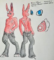 Target Ref by NightsOfStars - male, rabbit, pink, reference