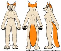 Ichigo by IchigoFurrySaki - wolf, folf, fennec fox, female/solo, ichigo