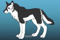 Ruskie Ref 2015 by rusticruskie - male, hybrid, wolf-husky