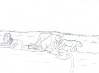 traditional art - for a story illustration by redwolf2008 - lioness, female, male, lion, test, black and white