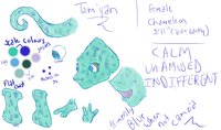 Tam'yan by Stakie - female, reference, chameleon