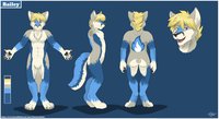 Bailey Charsheet by Flookie - fox, wolf, male, folf, fursuit, bailey, charsheet