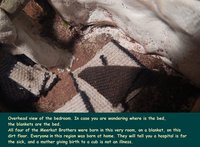 The House where the Meerkat Brothers were Born and Raised [Page 4] by moyomongoose