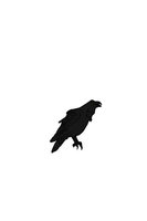 Otto Cross by Salrie - male, raven