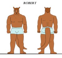 Bonnie and CO: Robert reference sheet by BonnieandCo - male, underwear, muscular, kangaroo, tall, male/solo