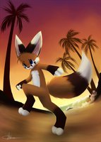 Sunset Day by Hirousan - big ears, fox, male, anthro, sunset, furry, sea, canid, fennec fox, anthropomorphic, artwork (digital), hirou-san, hirousan