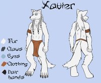 [Commission] Xavier Ref by String - wolf, male, reference sheet, character sheet, loincloth, ref, digitigrade, arctic wolf, xavier, shardfire