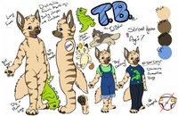 Best TailBiter Ref Ever by TailBiter - female, sheet, reference, striped hyena, tb, tailbiter