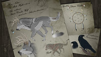 Noboru Sheet (clean) by DestinyWolf - wolf, male, crow, character, sheet, destiny, nikita, dreamcatcher, cornibus, noboru, destinywolf, immortalitas