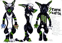 StaticScatta Reference Sheet by SelfishMonsta - male, green, black, folf, sheet, fursuit, fursona, reference