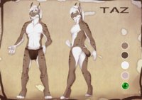 Taz - not my work by tazlynx - male, lynx