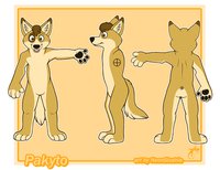 My Character Sheet ! by Pakyto - dingo, sheet, ref, pakyto