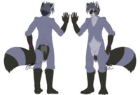 richard's ref by shifteranima - raccoon, male
