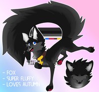 New Fursona by Icedfoxes - ref