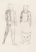 Eaia Khir - Character Concept Sheet by Cinix - lioness, female, lion, character sheet, clean, cybernetics, aslan, traveller