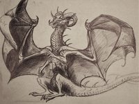 Dragon Sketch by Klark - sketch, dragon, male, ink