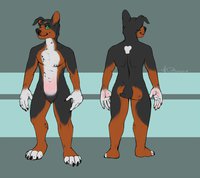 Reference by PupSirius - reference sheet