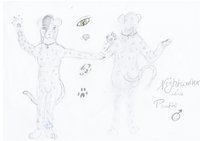 Ref Sheet Nightwalker (clean) by Nightwalker - male, panther, ref-sheet