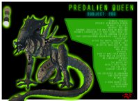 Subject 260 Ref. Sheet by RedPox - female, alien, xenomorph, predalien