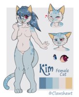kim ref by clawshawt by shifteranima - cat, female