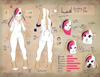 Reference Sheet by BunnyLed - bunny, male, gay, femboy, bunny boy