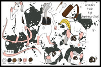 Verteller Character Sheet by Sakkano - male, rat, character sheet, piebald, spoon, touk (chef's hat), whisk