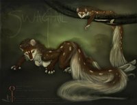 Ref - Bindi Swagtail by Swagtail - sketch, female, jade, hybrid, tiger, green, sexy, anthro, jungle, digital, sheet, lush, reference, non-anthro, key, fossa, quoll, copper, quoosa, bindi, swagtail, smoldering