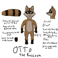 Otto Raccoon Reference by RaegalTBoggart - raccoon, male, reference