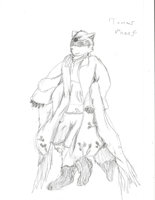 Tomas V'Neef- Exalted Character by Autumnringtail - raccoon, male, exalted