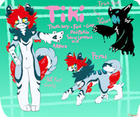 tiki ref by cherhei - transgender male, fox red panda snow leopard mix